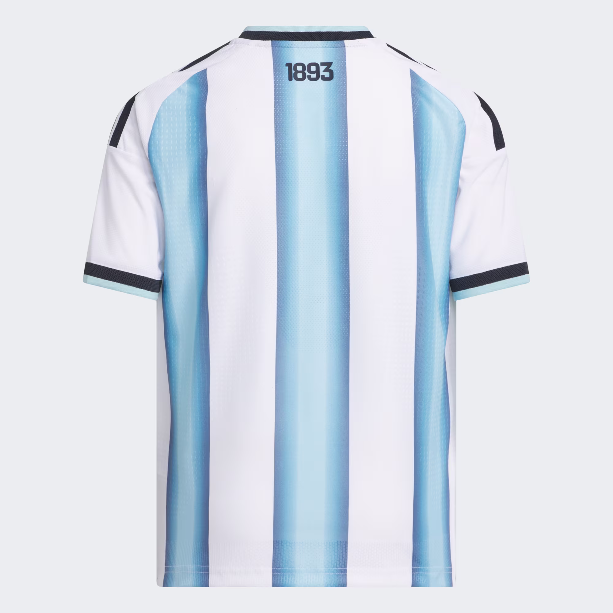 Argentina 26 Home Jersey - Image 4